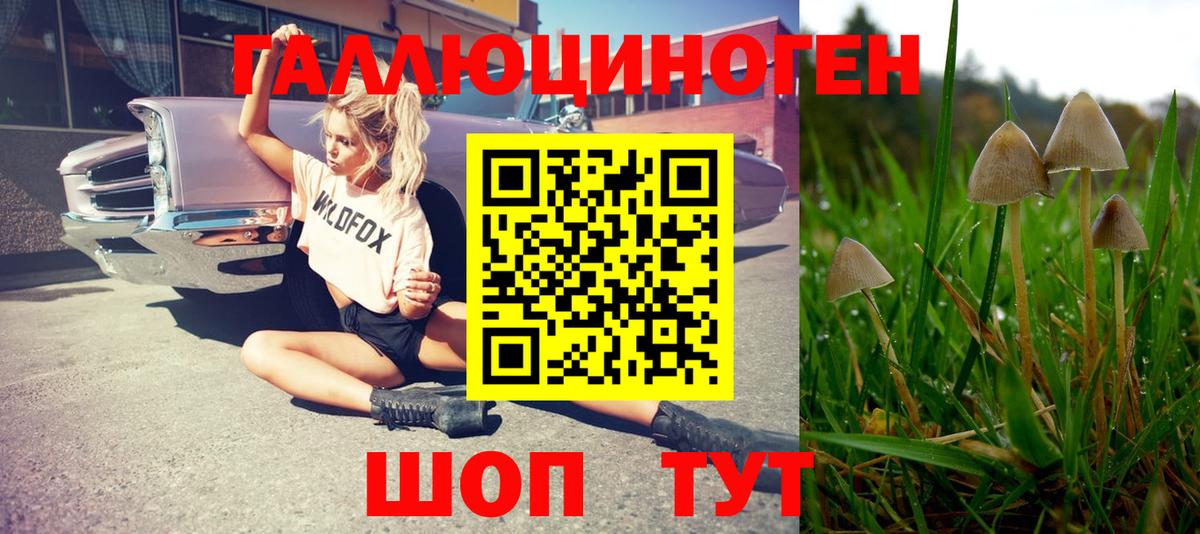 Галлюциногенные грибы ЛСД Асино