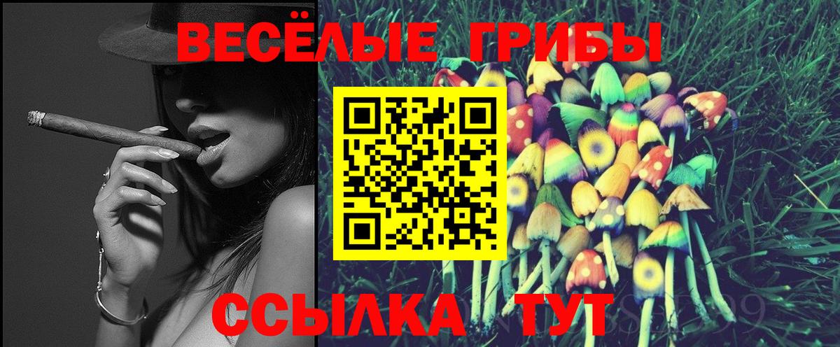 Галлюциногенные грибы Psilocybe  где найти наркотики  Вход с VPN  Асино  Псилоцибиновые грибы мухоморы 